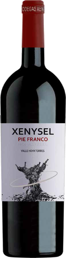 Xenysel Pie Franco - Bodega Xenysel